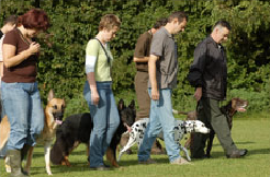 Cursisten die met de hond over het veld lopen
